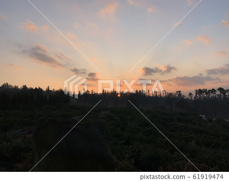 Jeju island glow 61919474