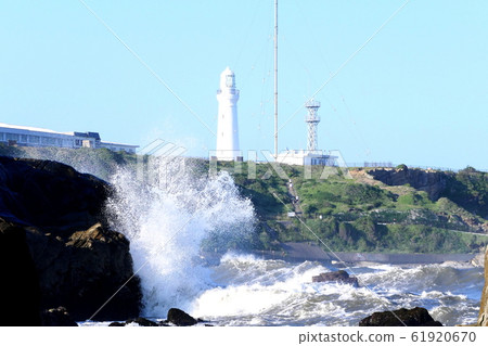 犬In崎海景 61920670