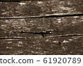 Wood background. 61920789