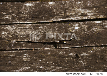 Wood background. Wood background. 61920789