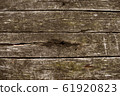 Wood background. 61920823