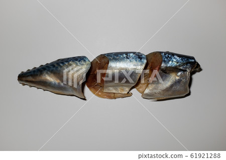 mackerel mackerel 61921288