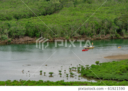 Amami Oshima kayak Amami Oshima kayak 61921590