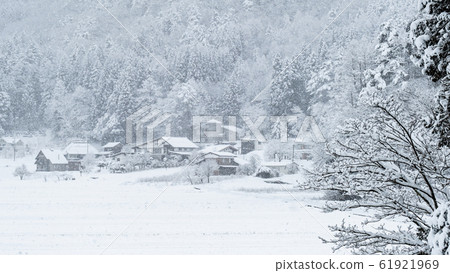 Snow country Snow country 61921969