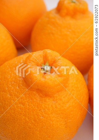 Decorphone Decorphone 61922073