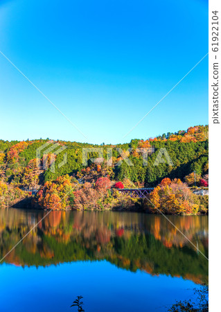 Lake Hinachi (November sunny colored leaves) 61922104