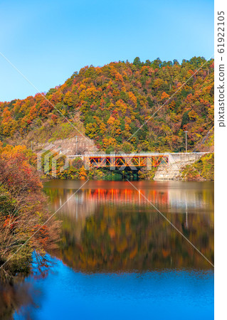 Lake Hinachi (November sunny colored leaves) Lake Hinachi (November sunny colored leaves) 61922105