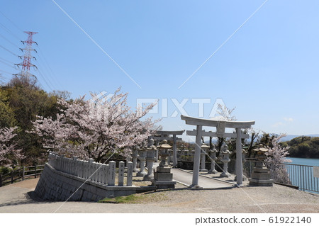 光明池塘春天風景 光明池塘春天風景 61922140