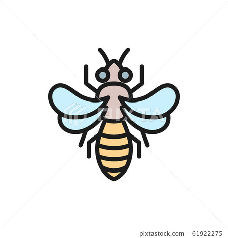 Honey bee, beekeeping flat color line icon. 61922275