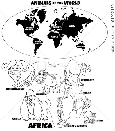 educational illustration of African animals color educational illustration of African animals color 61922576