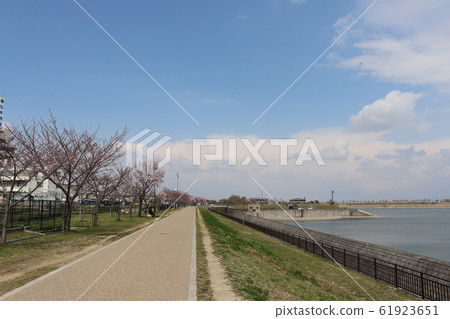 大阪Sa山市。佐山池塘春天風景 61923651
