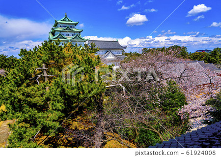 春天名古屋城堡 春天名古屋城堡 61924008