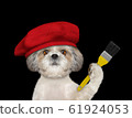 Shitzu dog as a painter with a brush. Isolated on black 61924053