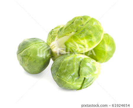 brussel sprouts vegetable an isolated on white brussel sprouts vegetable an isolated on white 61924654
