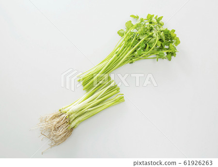 Sendai Serious 61926263