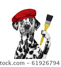 Dalmatian dog as a painter with a brush. Isolated on white 61926794