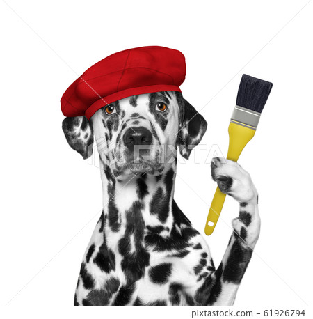 Dalmatian brush best sale