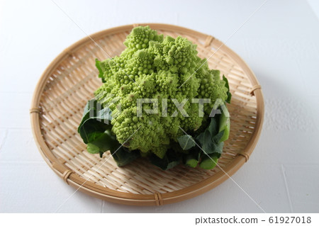Romanesco 61927018
