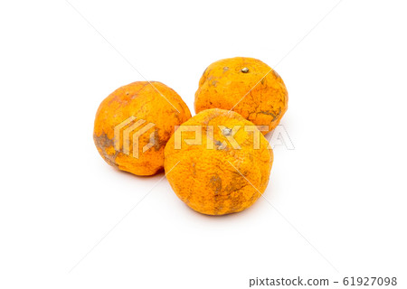 Close up of Withered Orange on iSolated White 61927098