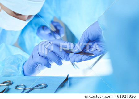 Close-up of medical team performing operation. Group of surgeons at work are busy of patient. Medicine, veterinary or healthcare and emergency in hospital Close-up of medical team performing operation. Group of surgeons at work are busy of patient. Medicine, veterinary or healthcare and emergency in hospital 61927920