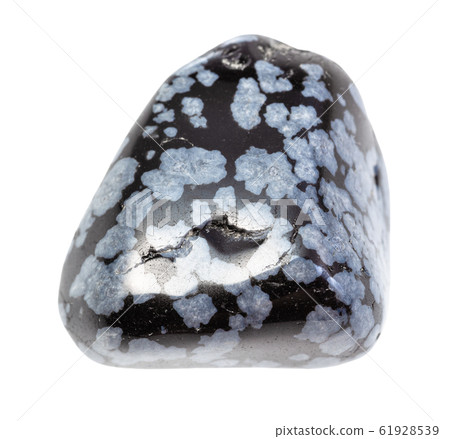 tumbled Snowflake Obsidian gemstone isolated tumbled Snowflake Obsidian gemstone isolated 61928539