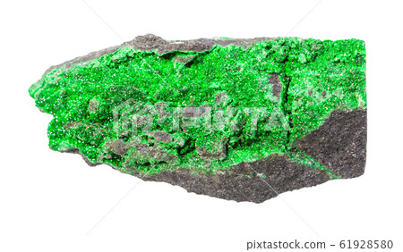 crystals of Uvarovite (green garnet) on rock 61928580
