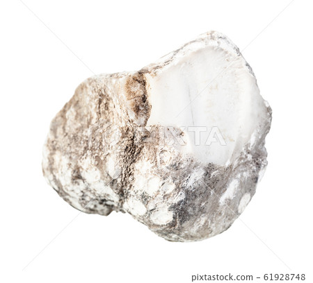 unpolished Cacholong rock isolated on white 61928748
