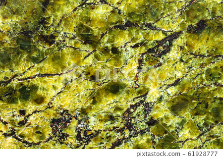 background from polished Lizardite rock background from polished Lizardite rock 61928777