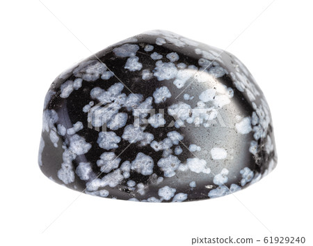 polished Snowflake Obsidian gem isolated 61929240