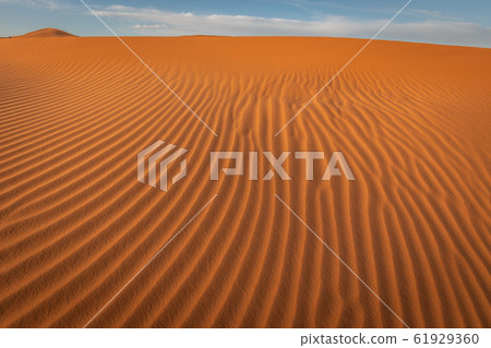 Sahara Sand Patterns, Erg Chebbi, Merzouga, Morocco 61929360