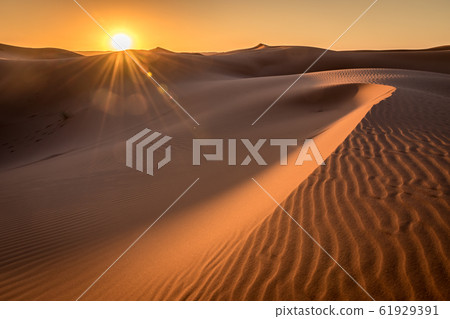 Sunrise over the Sahara Dunes, Merzouga, Morocco 61929391