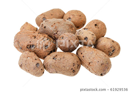 pebble from Lightweight expanded clay aggregate pebble from Lightweight expanded clay aggregate 61929536