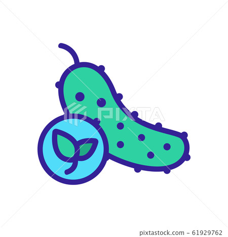 Natural cucumber icon vector. Isolated contour symbol illustration Natural cucumber icon vector. Isolated contour symbol illustration 61929762