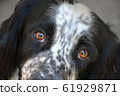 concept of mutual assistance  food 61929871