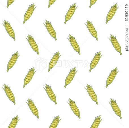 Vector seamless pattern of yellow sketch corn Vector seamless pattern of yellow sketch corn 61930439
