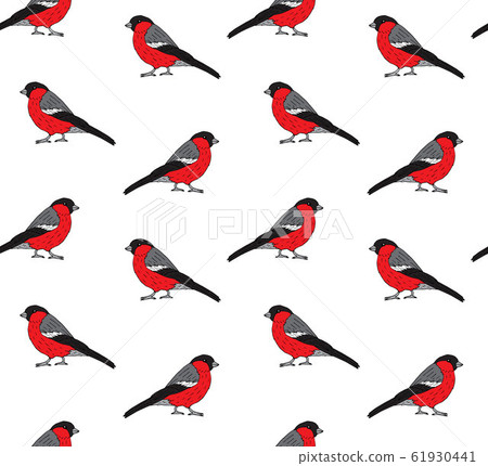 Vector seamless pattern of hand drawn bullfinch Vector seamless pattern of hand drawn bullfinch 61930441