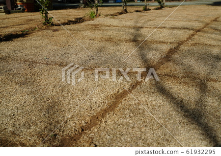 I can't wait for 2020, lawn maintenance, clear weather, spring I can't wait for 2020, lawn maintenance, clear weather, spring 61932295