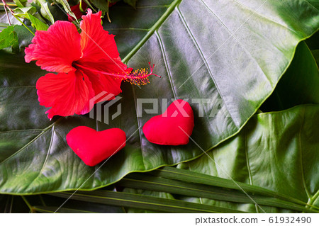 Two red hearts and flower on palm leaves background. Two red hearts and flower on palm leaves background. 61932490