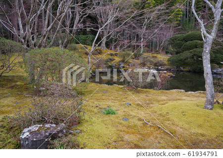 松島悅景 松島悅景 61934791