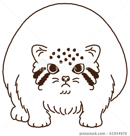 Manul cat line drawing front 61934978
