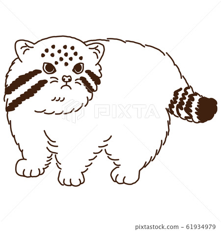 Manul cat line drawing landscape Manul cat line drawing landscape 61934979