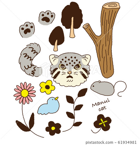 Fashionable manul cat pattern 61934981