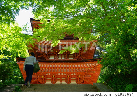Joruri-ji,三層塔(女) Joruri-ji,三層塔(女) 61935684