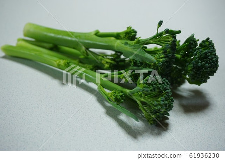 堅持西蘭花 61936230