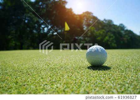 Golf ball on green grass in beautiful golf course 61936827