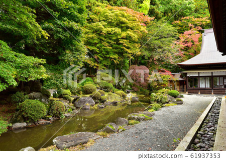 Ciyunji Garden Ciyunji Garden 61937353