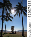 hawaii, beach, beaches 61937438