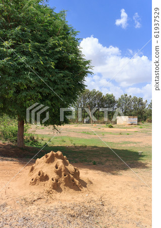 India_A與蟻丘的景色 India_A與蟻丘的景色 61937529