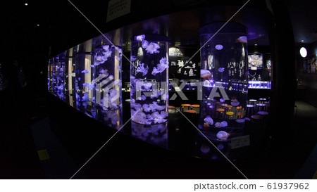 Kamo Aquarium Yamagata Kamo Aquarium Yamagata 61937962