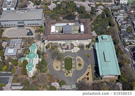 Tokyo National Museum / Ueno Park, aerial photography 61938033